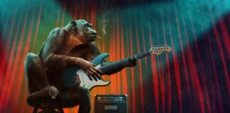 Jakie są najważniejsze Początkowe etapy budowy portfela inwestycyjnego?