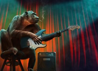 Jakie są najważniejsze Początkowe etapy budowy portfela inwestycyjnego? Jakie są najważniejsze Początkowe etapy budowy portfela inwestycyjnego?