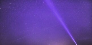 Jak powinno wyglądać zdjęcie do CV?