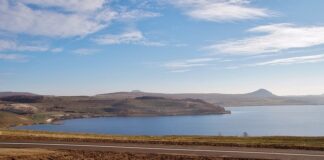 Co to jest aktywizacja dzieci?