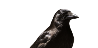 Czy na zwolnieniu lekarskim na dziecko można wychodzić z domu?