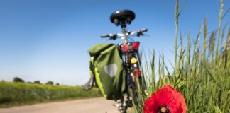 Jakie czynniki wpływają na aktywność kulturalną jednostki?