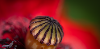 Ile pamięci miał pierwszy komputer?